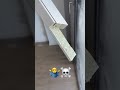 #fun #funny #funnyshorts #funnyvideos #viral #viralvideo #viralvideos #viralshorts #viralshort