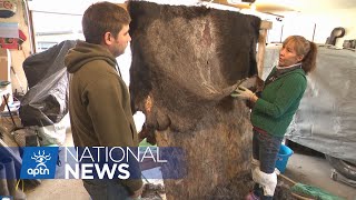 Chipewyan family revives culture with moose hide project | APTN News