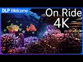 [4K] The Seas with Nemo &amp; Friends - On Ride 2022 - EPCOT - Disney World