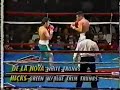 Oscar De La Hoya Vs Clifford Hicks Highlights (De La Hoya 2nd Pro Fight)