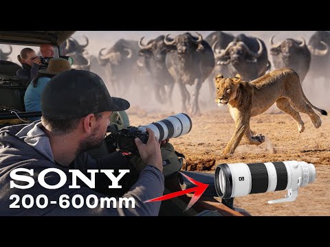 The Sony FE