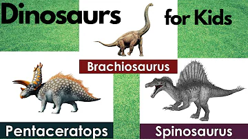Hoe heet de dinosaurus met een lange nek?