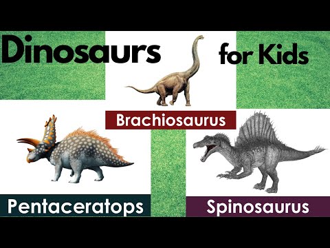 Dinosaurs Names for Kids | 24 Dinosaur Names | Types Of Dinosaurs