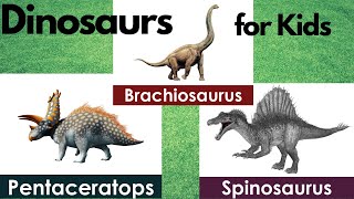 Dinosaurs Names for Kids | 24 Dinosaur Names | Types Of Dinosaurs