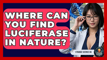 Where Can You Find Luciferase In Nature? - Strange Science HQ
