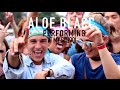 Aloe Blacc and Bebe Rexha: Fallapalooza!