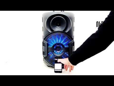 💥 isurve.ge 👉 დინამიკი მიკროფონით და პულტით BT ZQS 12106 Bluetooth, AUX, FM, USB