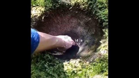 فمن يأتيكم بماء معين.... القارئ #اسلام#صبحي