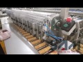 SAM Machinery "Biscuit Feeding System"