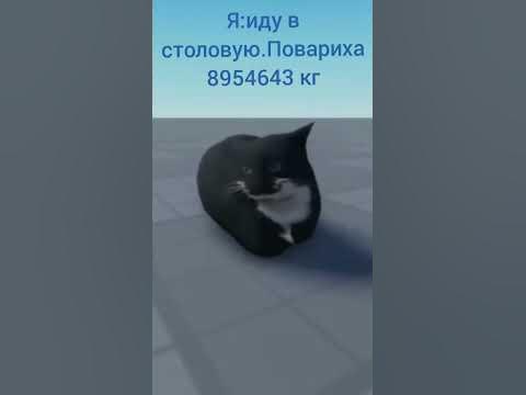 Максвелл кот - YouTube