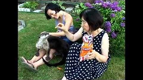 flasher.com interviews Adad Hannah part3