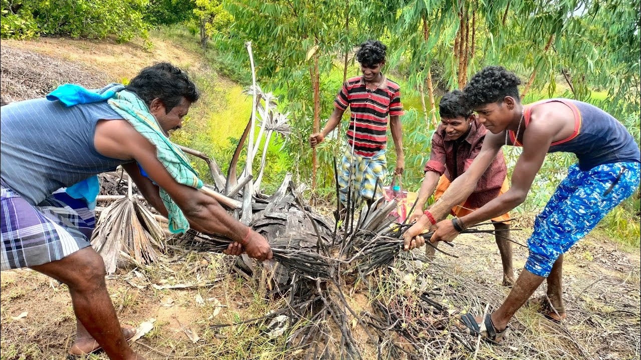 வயல் வெளியில் எலி வேட்டை| Rat hunting| village hunting | sirkazhi kathir samaiyal.