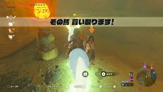 ブレワイ Botw このヌシ買い取らせようとしてみた ドリカラ Youtube