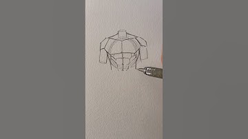 How to draw male torsos