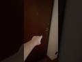 C’è qualcosa di strano in questa porta maledetta…😰 #shorts #roblox #minecraft #bellafaccia #ps5