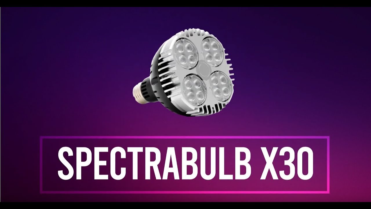 Ampoule LED Horticole SpectraBULB X30 V2 - Économie, Performance &  Simplicité