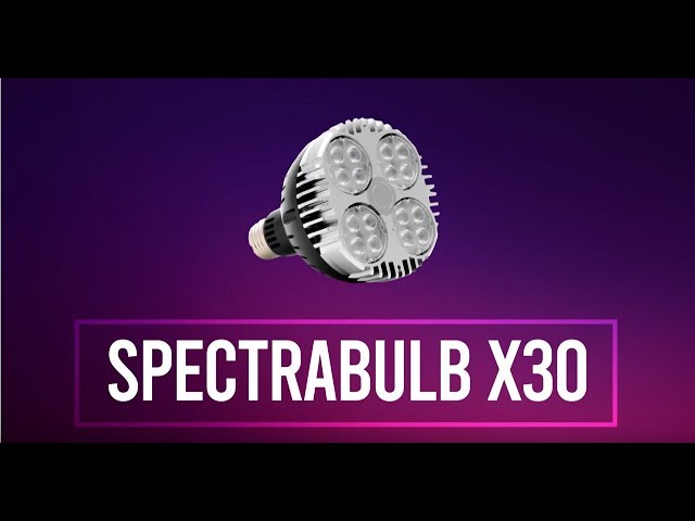 Ampoule horticole LEDs SpectraBULB X30 V2 - Croissance et