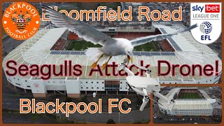 Ep75. Bloomfield Road, by drone Home of Blackpool FC. In League One for the 23/24 season
