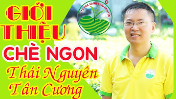 Chè Ngon Thái Nguyên Tân Cương | Chè Tân Cương Thái Nguyên