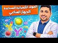 شرح المواد الكيميائية المساعدة لغة الحوار بين الخلايا أحياء تالته ثانوي 2026
