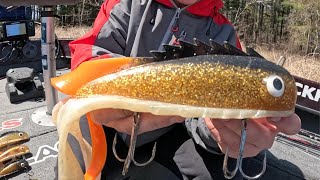 WHAT SIZE MEDUSSA IS BEST AND WHEN? / PLUS PRESENTATION TIPS FOR MUSKY