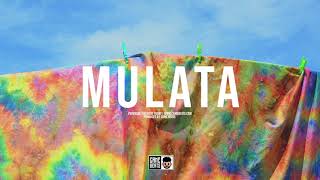 Mulata | Instrumental Reggaeton Dancehall | J Balvin Type Beat 2021