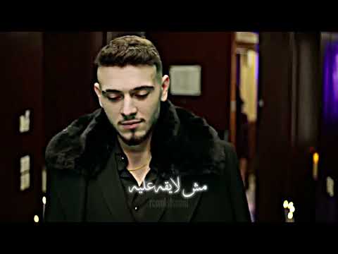 قوليلو   الشامي اكسبلور