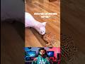Frogs Will Eat Anything They See! #shorts #ytshorts