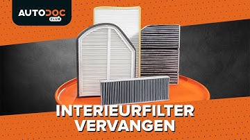 Hoe u het interieurfilter kunt vervangen [HANDLEIDING AUTODOC]