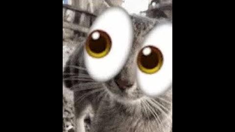 solo dual hexagon force