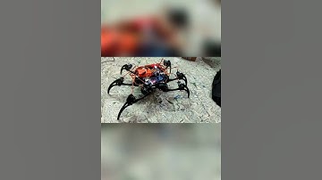 Spider robot baste on Arduino #arduino #educational  #electronicsprojects #engineering #innovation