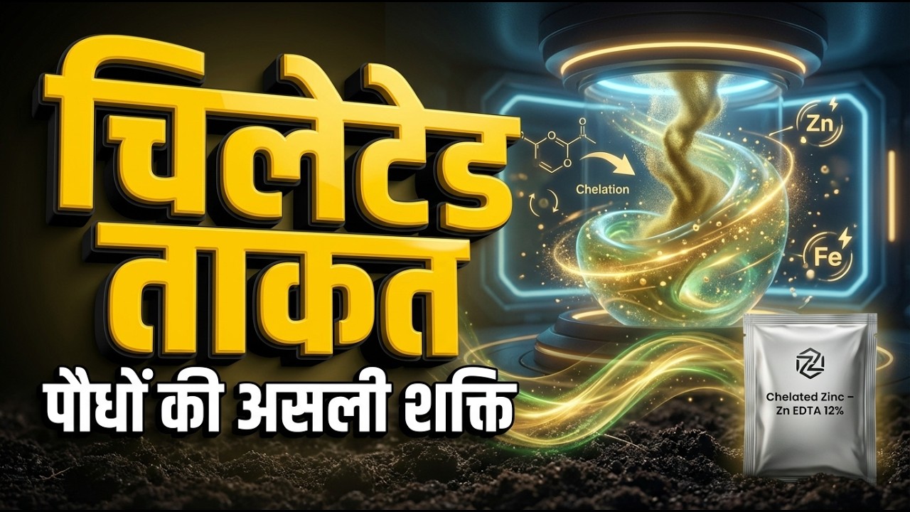 Chelated Technology क्या है? पूरा विज्ञान आसान भाषा में | Chelated Zinc 12% & Iron का सही इस्तेमाल |