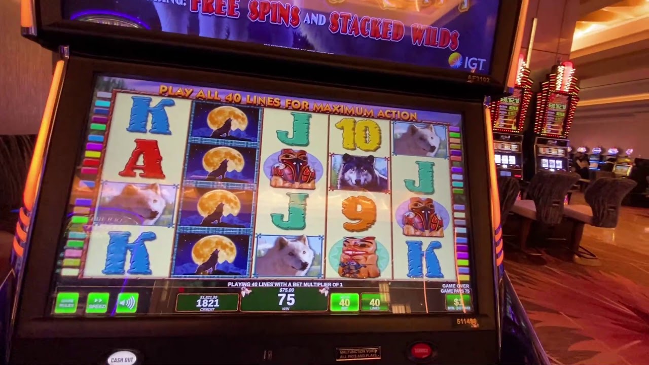 WOLF RUN HIGH LIMIT $40 BET