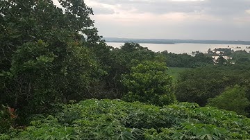 NVT1291 Bán 9,2 sào Hòa Hưng view Hồ (không giáp đường ven hồ) giá 350tr/sào