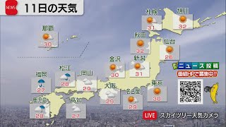 6月11日の天気