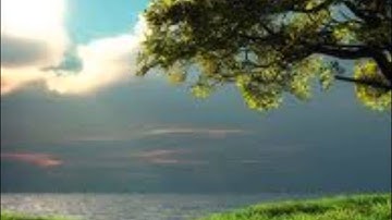 تلاوة مؤثرة من سورة الزمر للقارئ نايف الفيصل