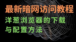 【暗网】如何访问暗网,暗网最新教程,洋葱浏览器(tor)下载、配置教程?暗网最新网址|史上最全暗网教程|dark web|deep web|tor browser