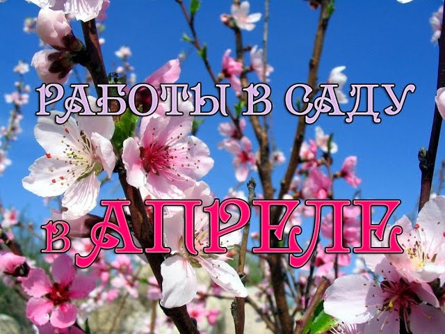 САДОВЫЕ РАБОТЫ ВЕСНОЙ: АПРЕЛЬ 2019