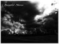 Capture de la vidéo And Also The Trees - Beautiful Silence