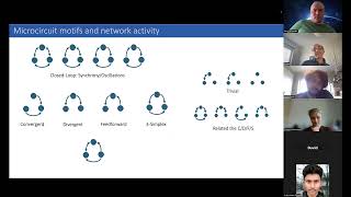 Arvind Kumar (05/05/26): Effect of second order connectivity motifs biological neural networks