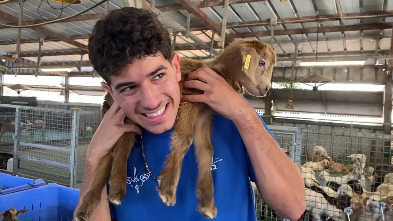 קליפ פתיחת שנה - קומונה כ