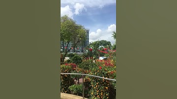 Thumbnail of 💐@SINGAPORE KOVAN GARDEN💐