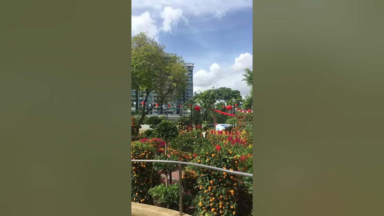 💐@SINGAPORE KOVAN GARDEN💐 💐@SINGAPORE KOVAN GARDEN💐