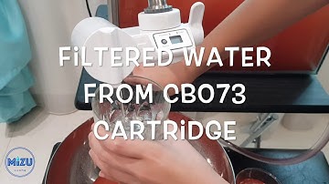 Red rust experiment with CB073VE 2019