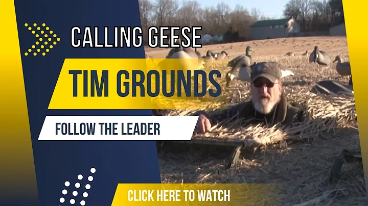 Tim Grounds Goose Calling - Follow The Leader While Calling Geese