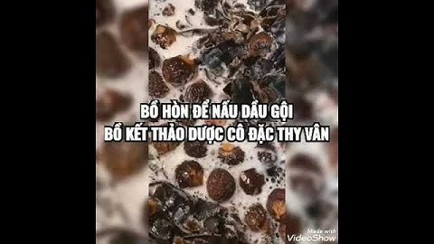 Những công dụng tuyệt vời của quả bồ hòn