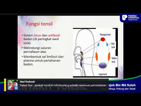 PHSP| DR NAJEB - PENYAKIT TONSIL