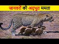 जानवरों की अद्भुत ममता | । Animals who Adopted Other Animal Babies