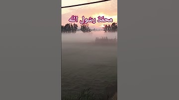 #محمد-رسول-الله #سورة- الفتح