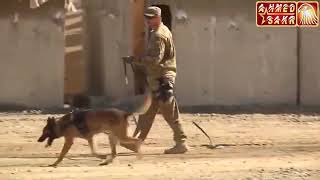 Akhtar Kilab Fi L3Alm